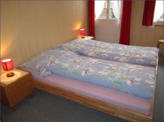 Hotel Montana Seelisberg Bagian luar foto